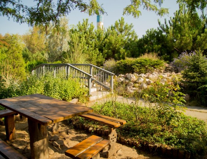 Внешний вид и территория - Санаторий «Северное Сияние»