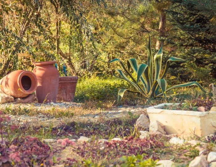 Внешний вид и территория - Санаторий «Северное Сияние»